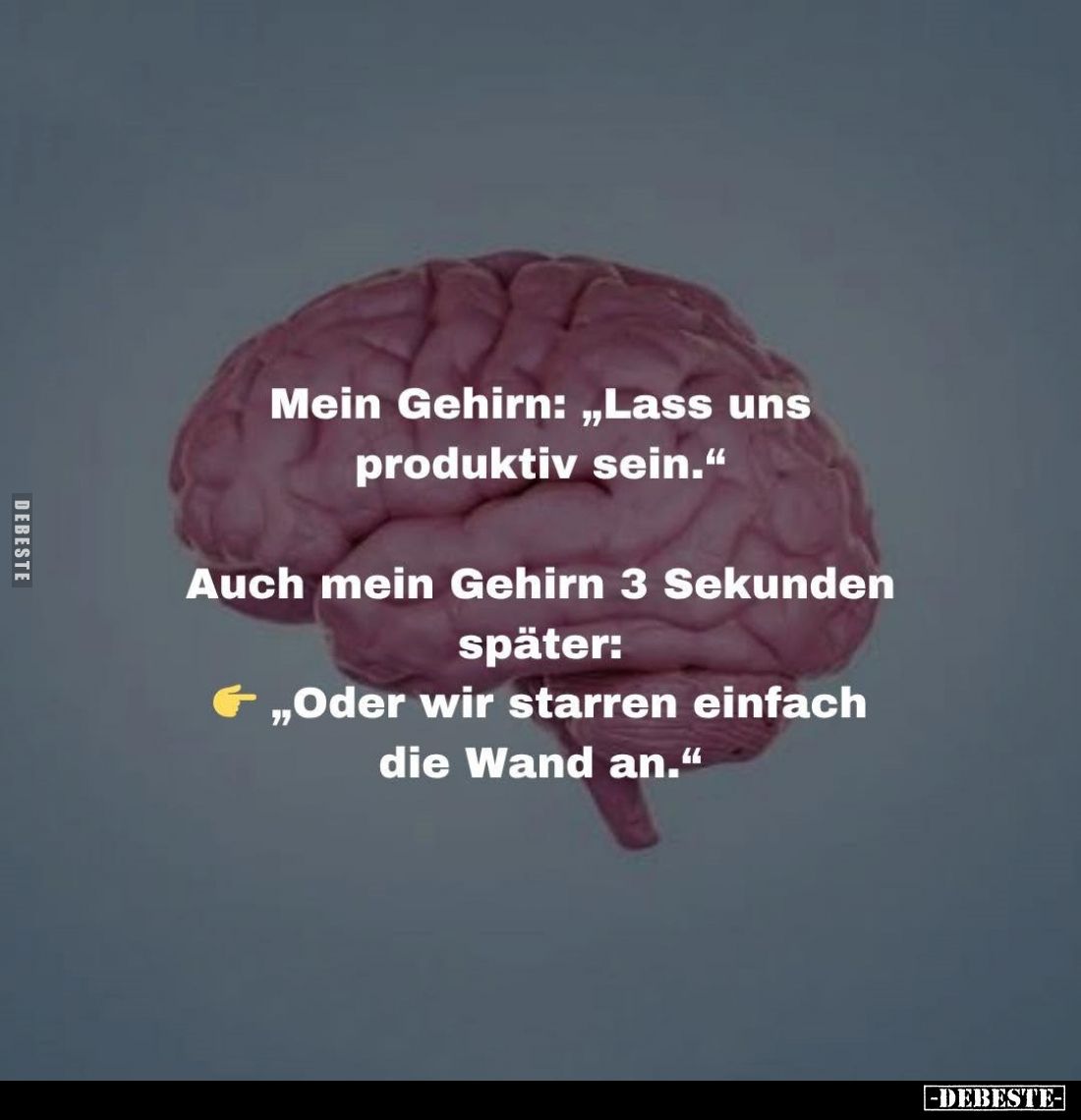 Mein Gehirn: "Lass uns produktiv sein." -
Auch mein Gehirn 3 Sekunden später: "Oder wir starren einfach die W...