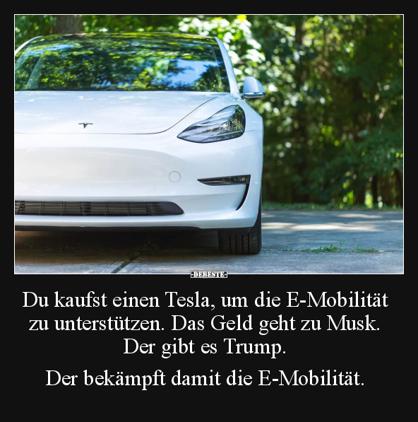 Du kaufst einen Tesla, um die E-Mobilität zu unterstützen... - Lustige Bilder | DEBESTE.de