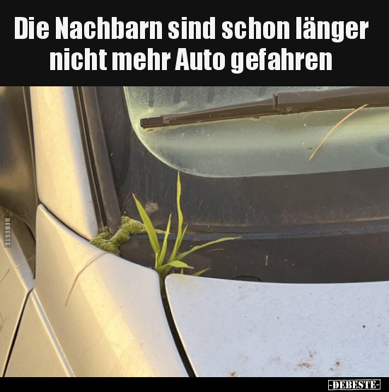 Die Nachbarn sind schon länger nicht mehr Auto.. - Lustige Bilder | DEBESTE.de