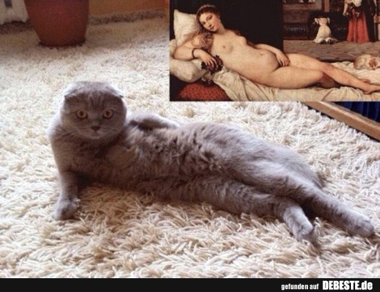 Auffallende Ähnlichkeit: