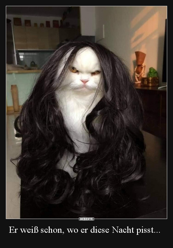 Er weiß schon, wo er diese Nacht pisst...