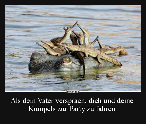 Als dein Vater versprach, dich und deine Kumpels zur Party.. - Lustige Bilder | DEBESTE.de