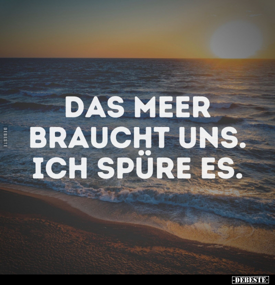 Das Meer braucht uns. Ich spüre es... - Lustige Bilder | DEBESTE.de