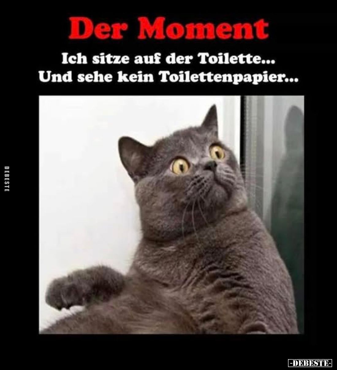 Der Moment
Ich sitze auf der Toilette... Und sehe kein Toilettenpapier...