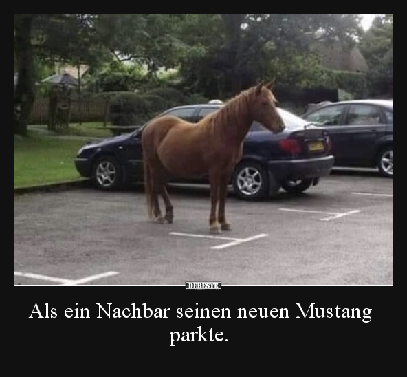 Als ein Nachbar seinen neuen Mustang parkte... - Lustige Bilder | DEBESTE.de