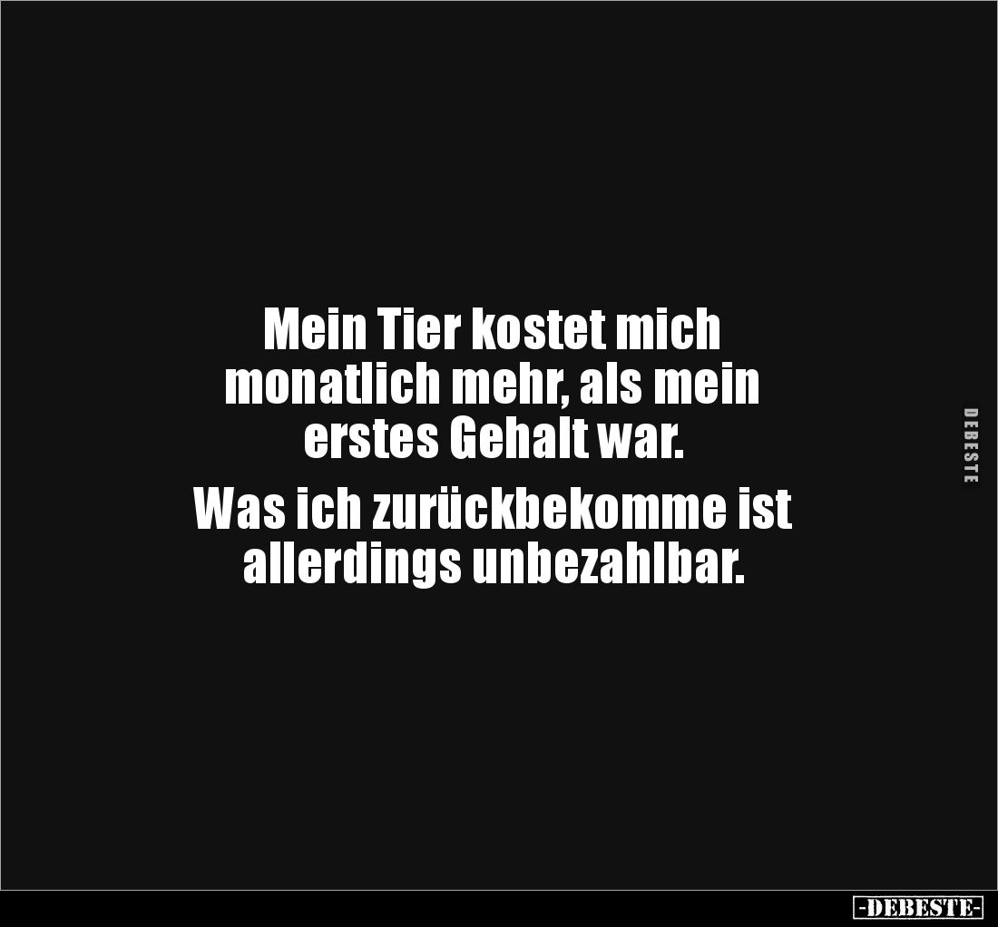 Mein Tier kostet mich
monatlich mehr, als mein
erstes Gehalt war.
Was ich zurückbekomme ist
allerdings unbezahlbar.