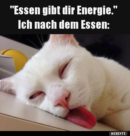 "Essen gibt dir Energie." Ich nach dem Essen.. - Lustige Bilder | DEBESTE.de