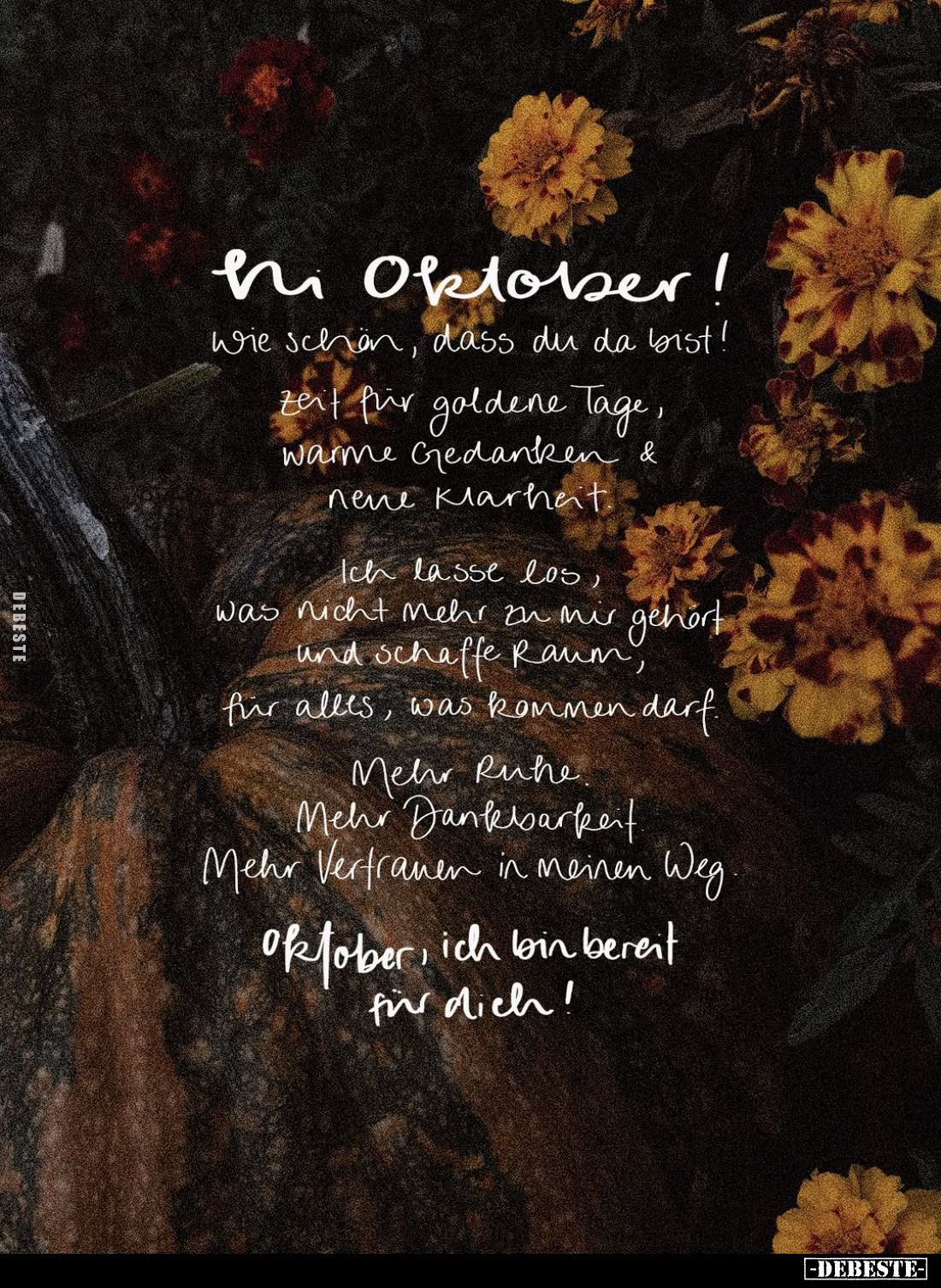 Hi Oktober!
wie schön, dass du da bist!

Zeit für goldene Tage,
warme Gedanken &
neue Klarheit.

Ich lasse los,
w...