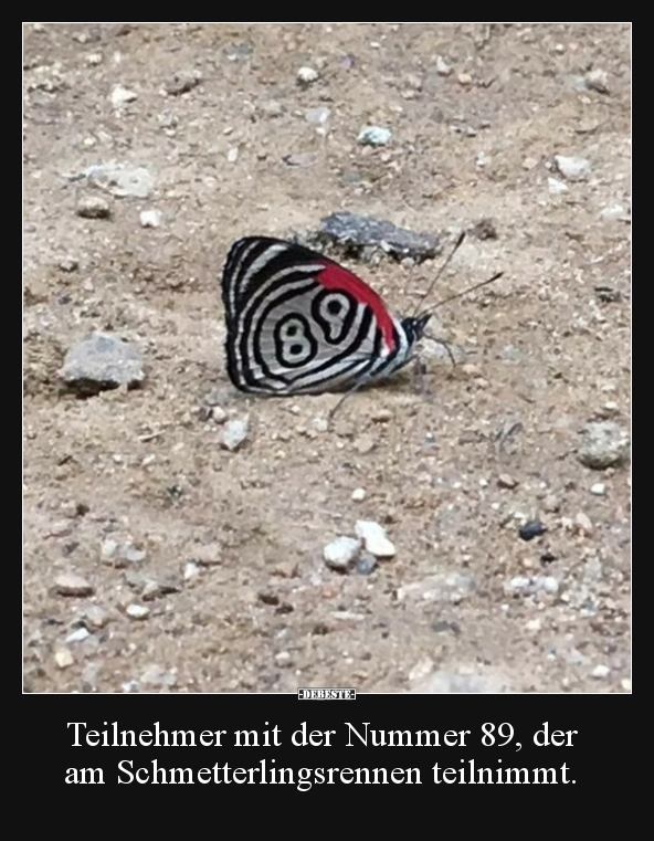 Teilnehmer mit der Nummer 89, der am Schmetterlingsrennen.. - Lustige Bilder | DEBESTE.de