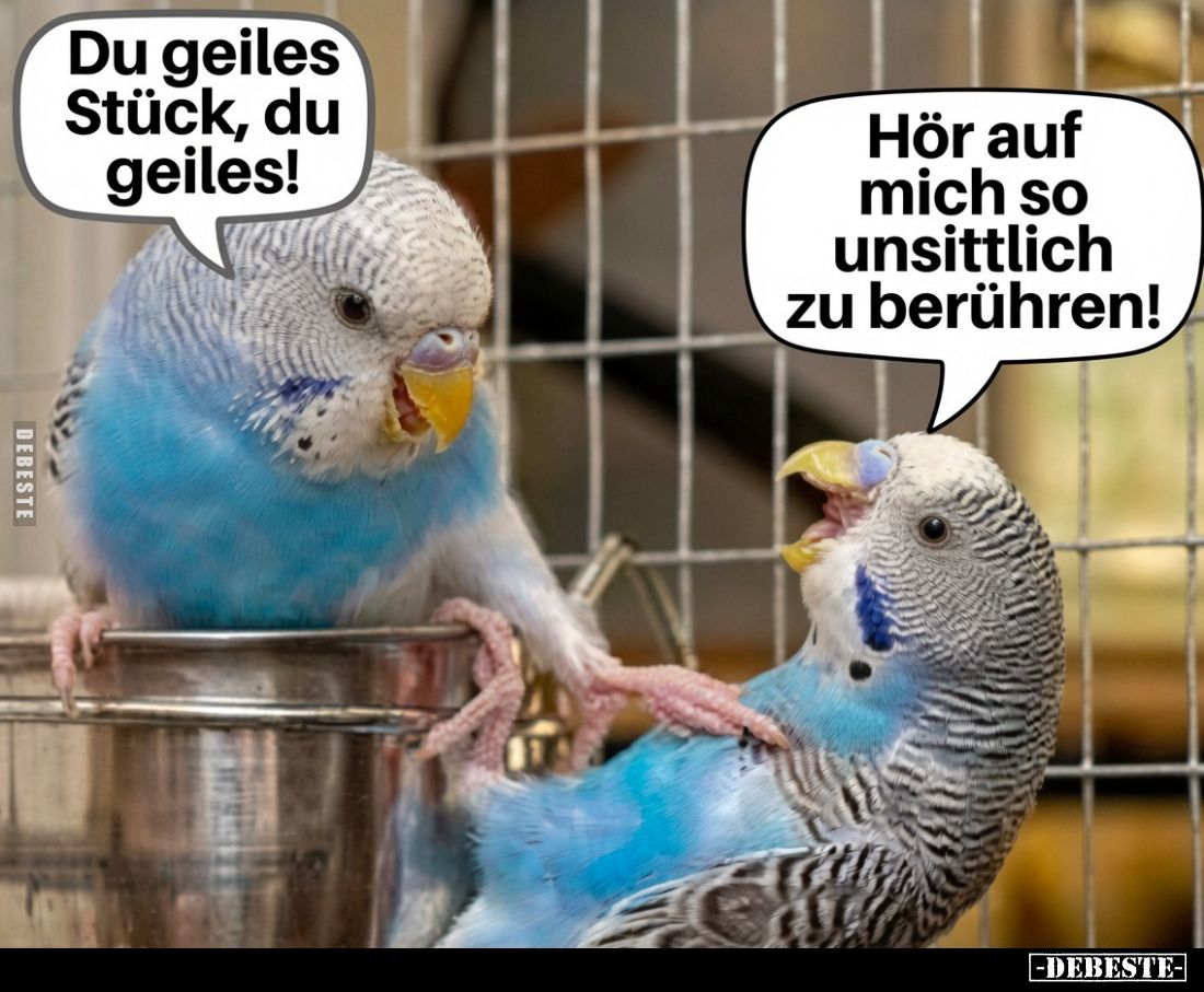 Du geiles Stügg, du geiles!
Hör auf mich so unsittich zu berühren!