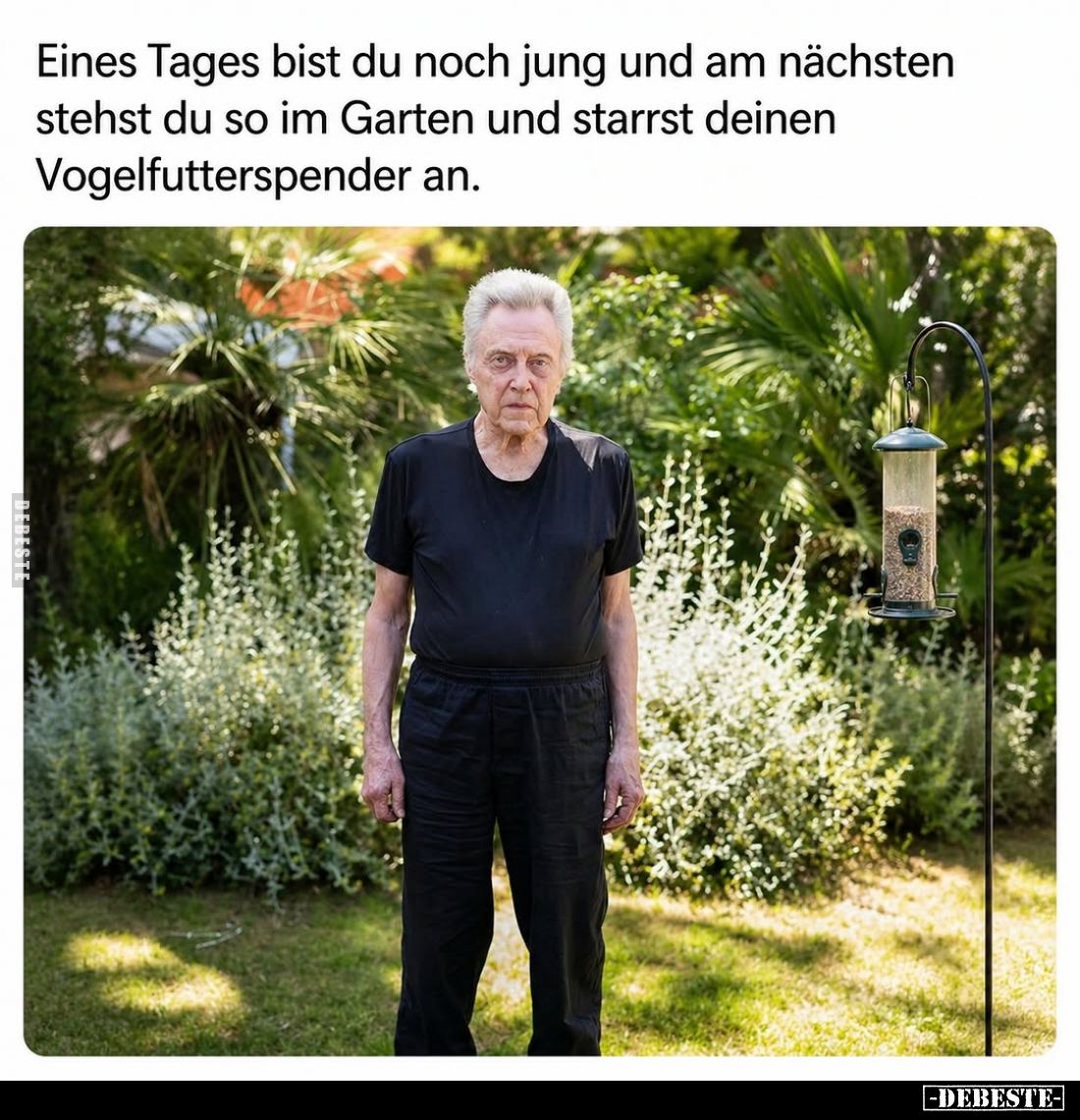 Eines Tages bist du noch jung und am nächsten stehst du so im Garten und starrst deinen Vogelfutterspender an.