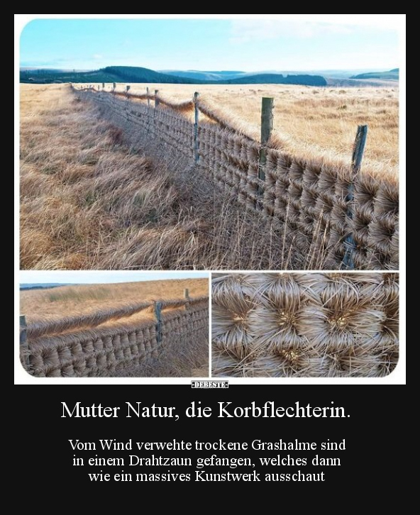 Mutter Natur, die Korbflechterin.. - Lustige Bilder | DEBESTE.de