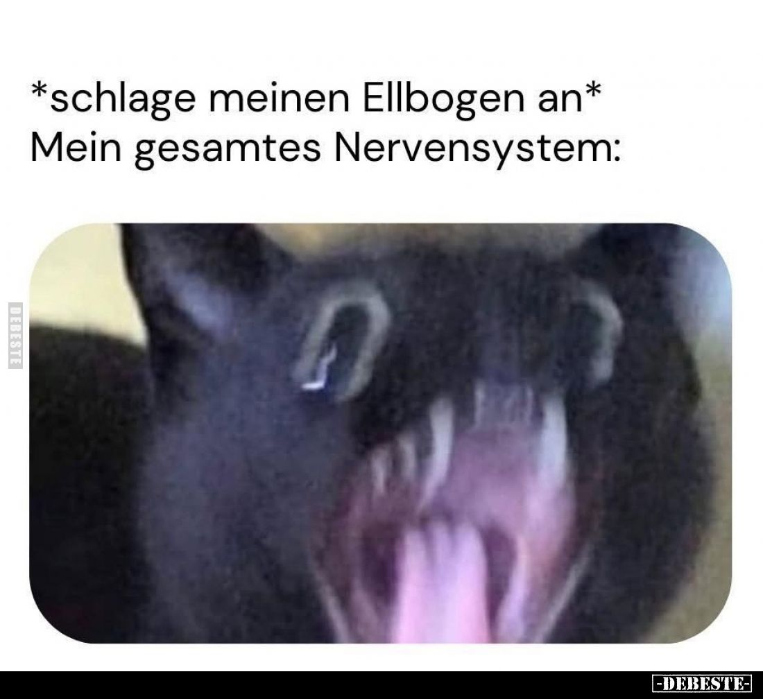 *schlage meinen Ellbogen an*Mein gesamtes Nervensystem: