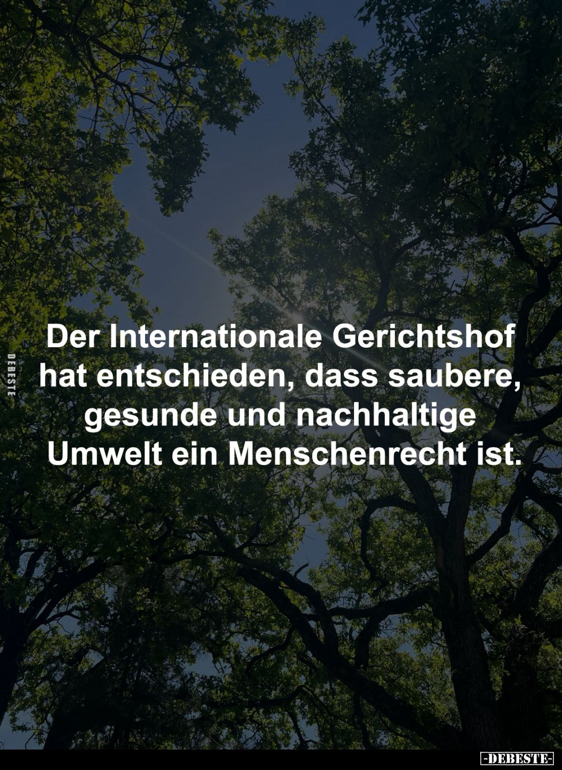 Der Internationale Gerichtshof hat entschieden... - Lustige Bilder | DEBESTE.de