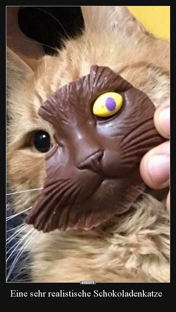 Eine sehr realistische Schokoladenkatze.. - Lustige Bilder | DEBESTE.de