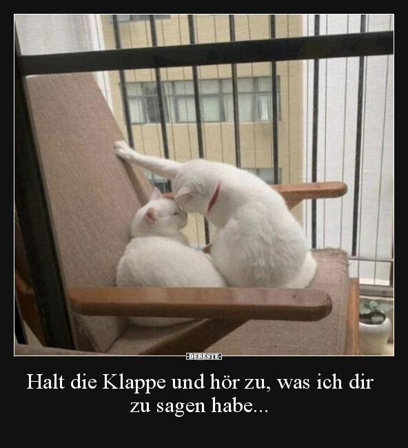 Halt die Klappe und hör zu, was ich dir zu sagen habe... - Lustige Bilder | DEBESTE.de