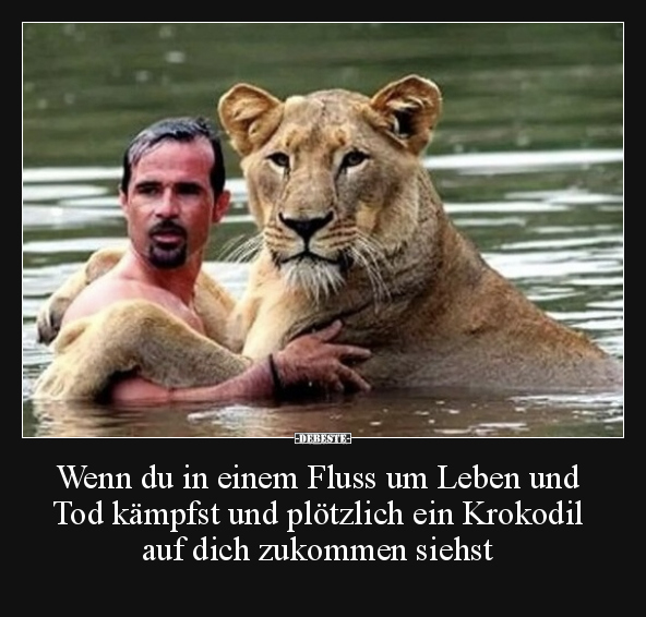 Wenn du in einem Fluss um Leben und Tod kämpfst und.. - Lustige Bilder | DEBESTE.de