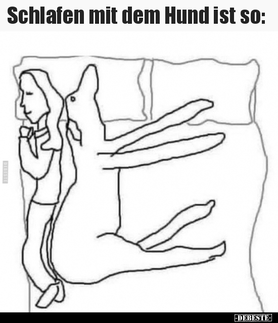 Schlafen mit dem Hund ist so..