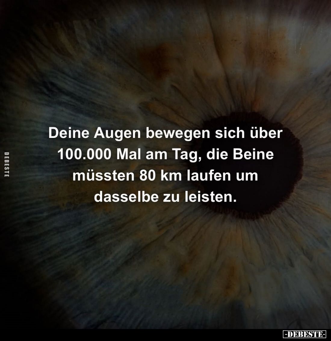 Deine Augen bewegen sich über 100.000 Mal am Tag, die Beine müssten 80 km laufen um dasselbe zu leisten.