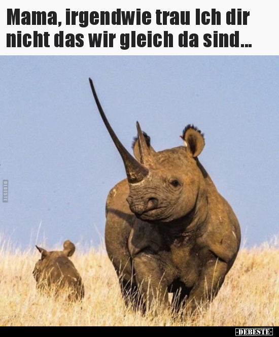 Mama, irgendwie trau Ich dir nicht das wir gleich da..