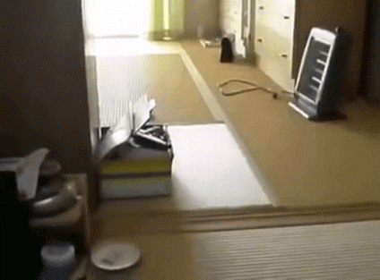 Das ist ja putzig :)