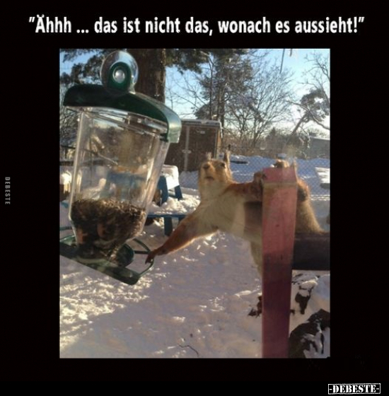 "Ähhh ... das ist nicht das, wonach es aussieht!"