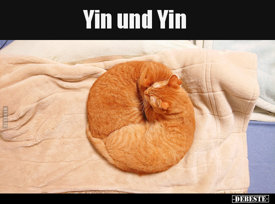 Yin und Yin