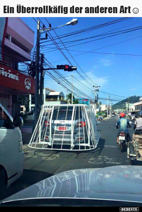 Ein Überrollkäfig der anderen Art☺
