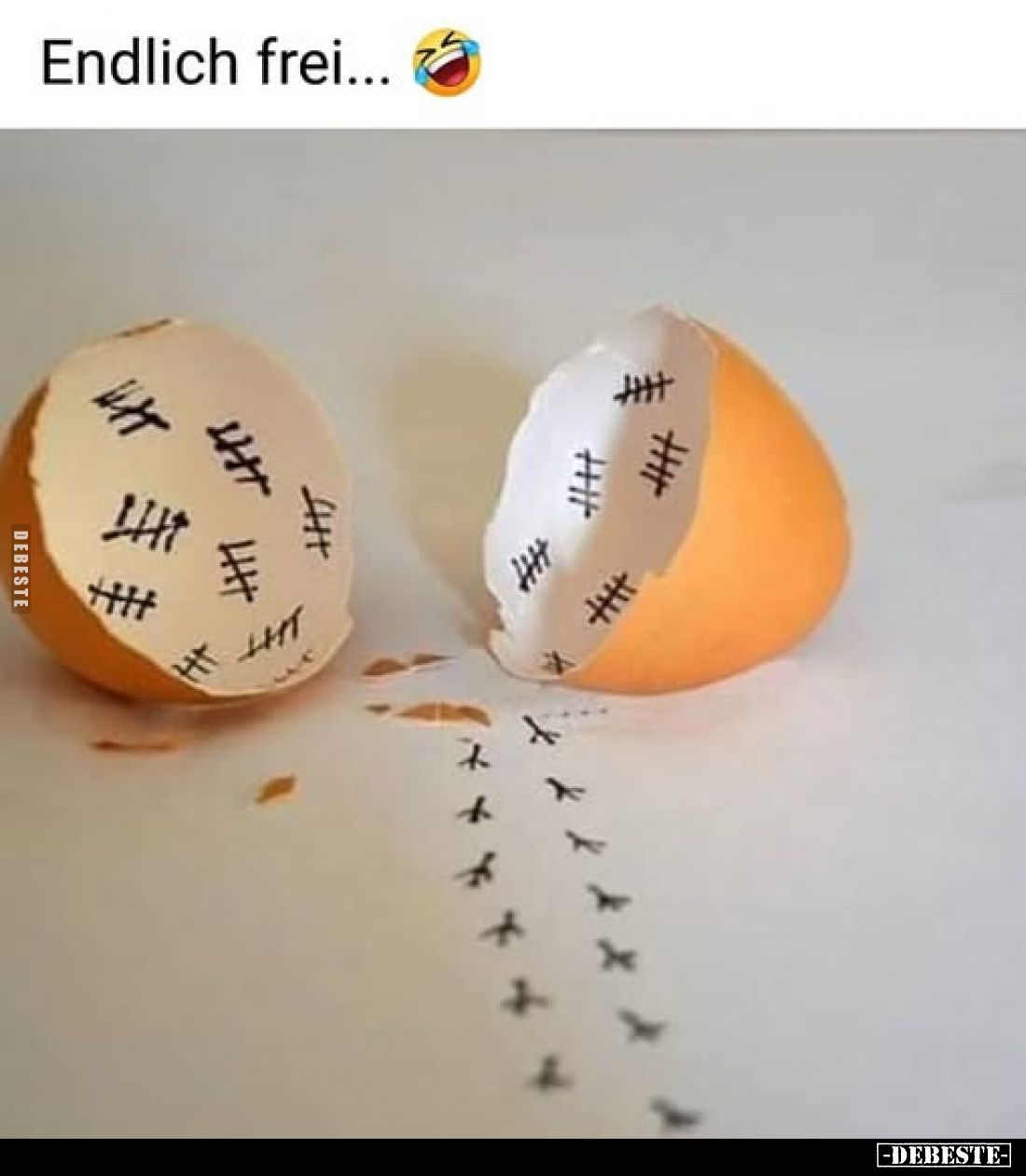 Endlich frei...