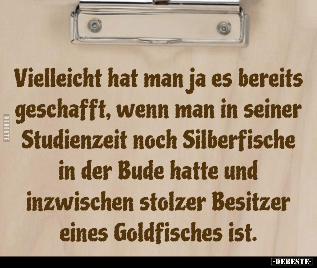 Vielleicht hat man ja es bereits geschafft, wenn man in seiner Studienzeit noch Silberfische in der Bude hatte und inzwischen...
