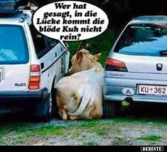 Wer hat gesagt, in die Lücke kommt die blöde Kuh nicht.. - Lustige Bilder | DEBESTE.de