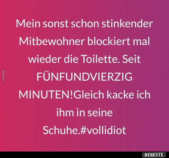 Mein sonst schon stinkender Mitbewohner blockiert mal.. - Lustige Bilder | DEBESTE.de