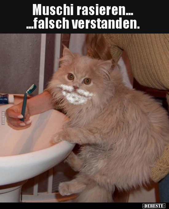 Muschi rasieren... ...falsch verstanden... - Lustige Bilder | DEBESTE.de