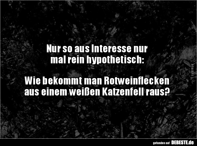 Nur so aus Interesse nur mal rein hypothetisch.. - Lustige Bilder | DEBESTE.de