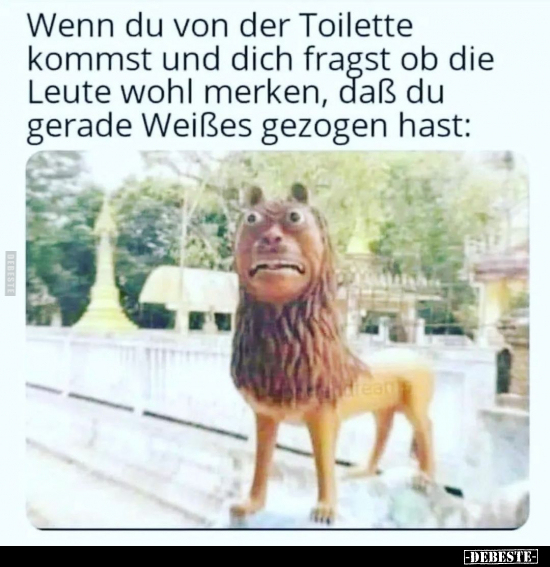 Wenn du von der Toilette kommst und dich fragst ob die.. - Lustige Bilder | DEBESTE.de