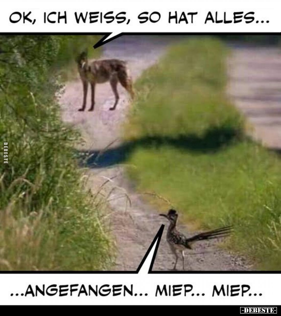 Ok, ich weiss, so hat alles... - Angefangen... Miep... Miep...