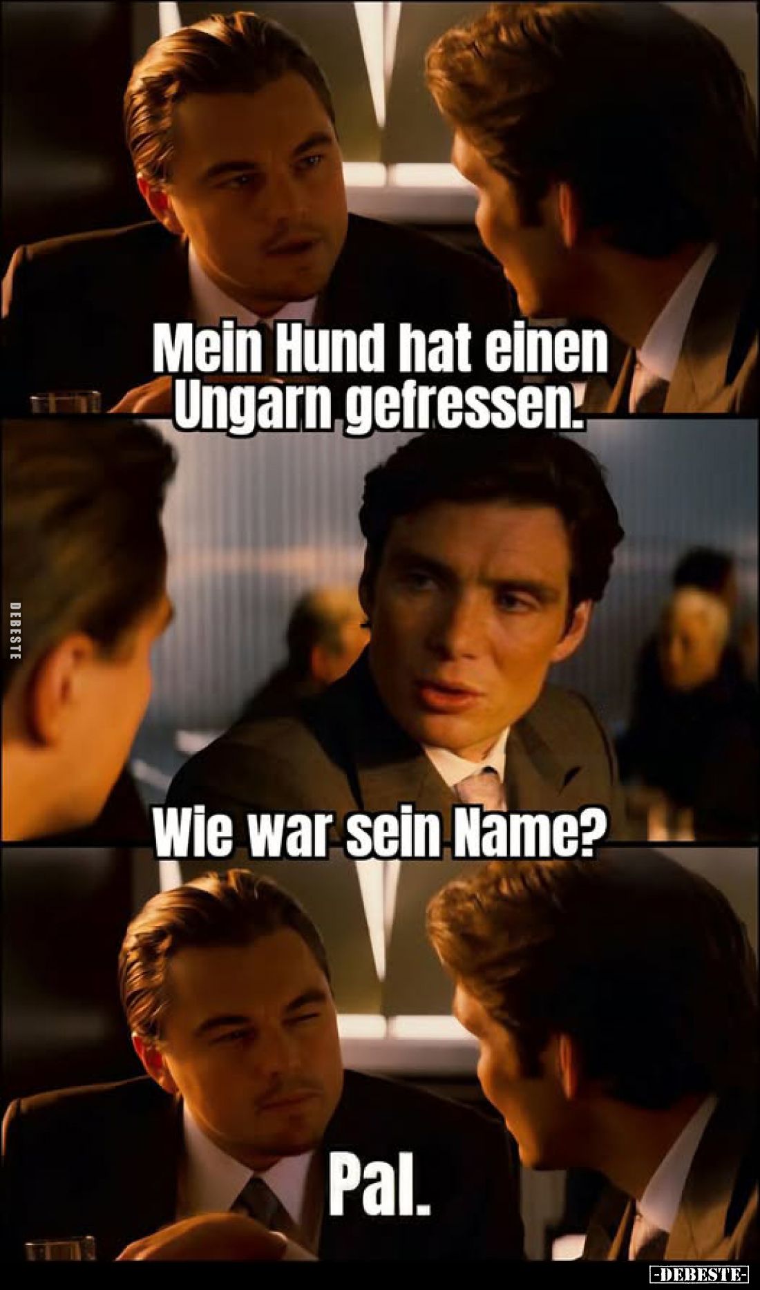 Mein Hund hat einen Ungarn gefressen.
-
Wie war sein Name? -
Pal.