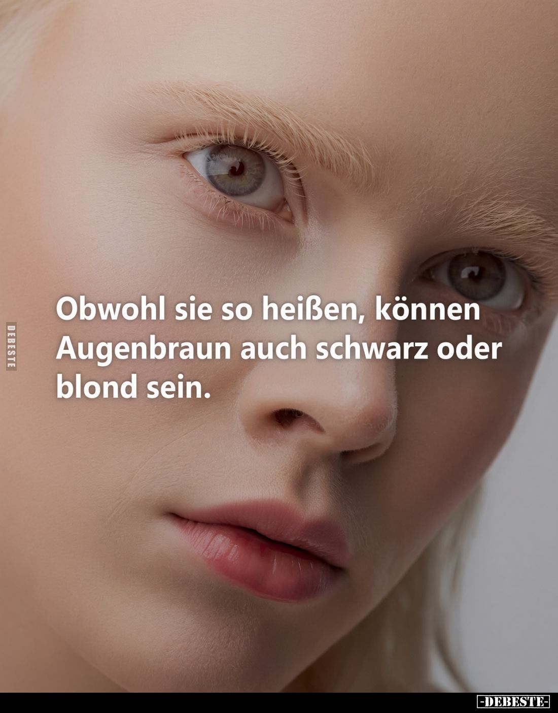 Obwohl sie so heißen, können Augenbraun auch schwarz oder.. - Lustige Bilder | DEBESTE.de