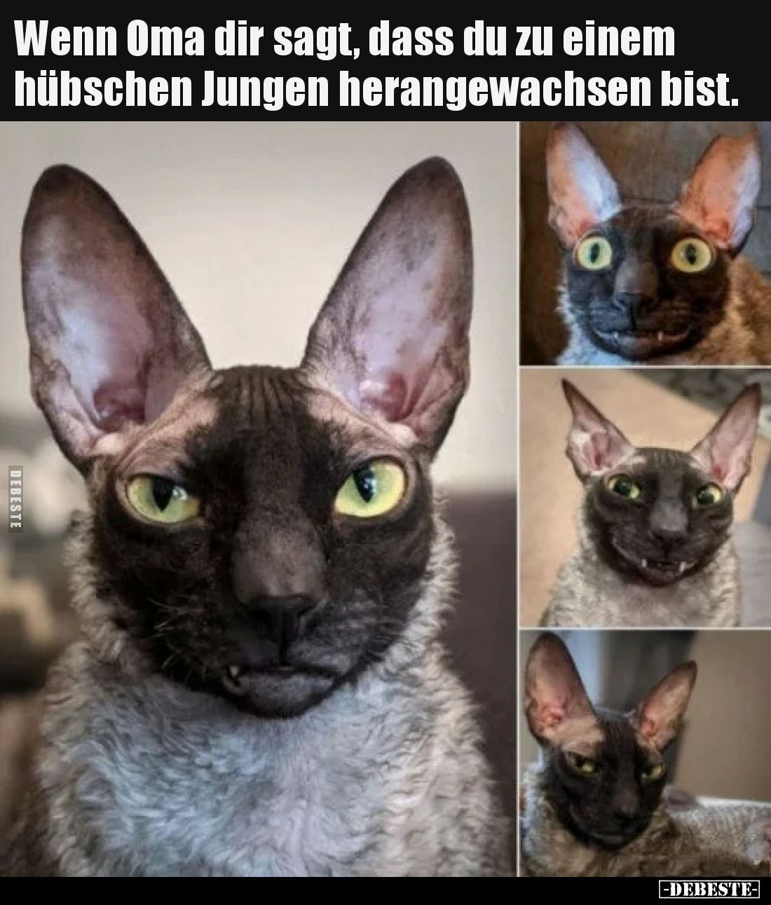 Wenn Oma dir sagt, dass du zu einem hübschen Jungen herangewachsen bist.