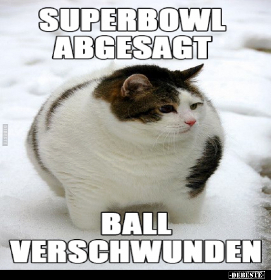 Superbowl abgesagt...  Ball verschwunden. - Lustige Bilder | DEBESTE.de