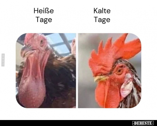 Heiße Tage - Kalte Tage.. - Lustige Bilder | DEBESTE.de