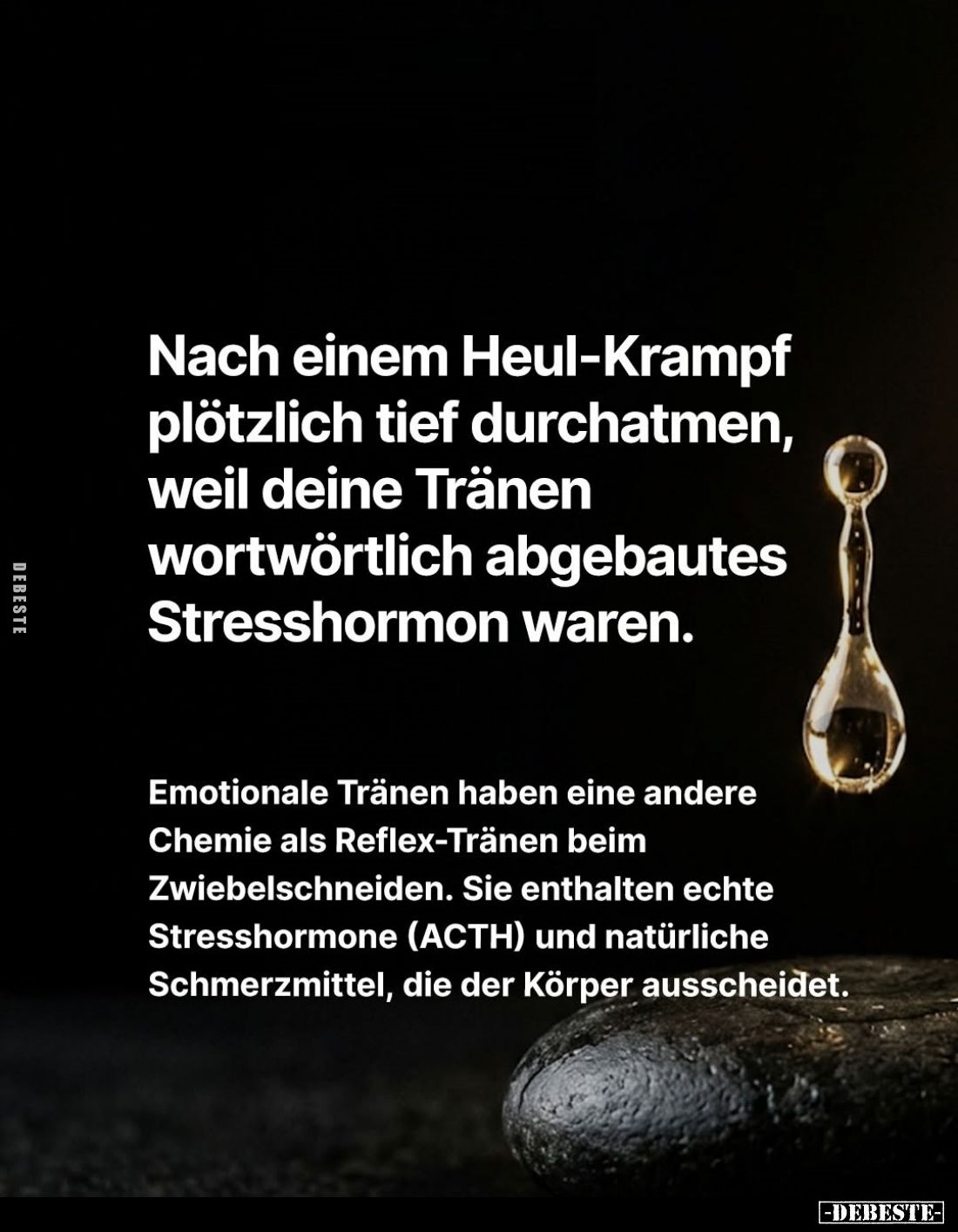 Nach einem Heul-Krampf plötzlich tief durchatmen, weil deine Tränen wortwörtlich abgebautes Stresshormon waren.
Emotionale T...