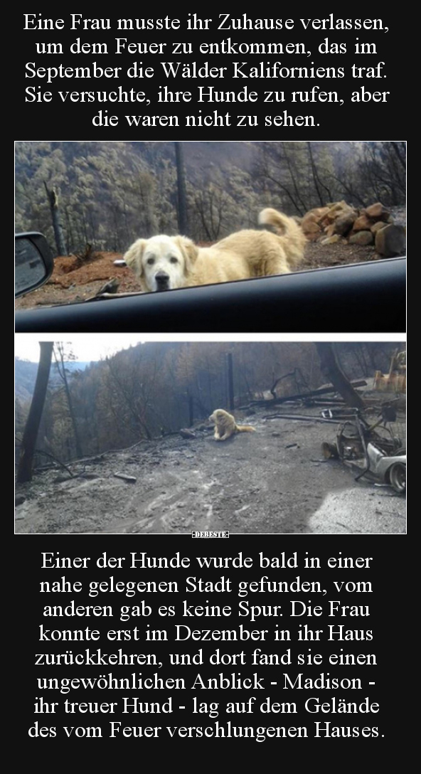 Eine Frau musste ihr Zuhause verlassen, um dem Feuer zu.. - Lustige Bilder | DEBESTE.de