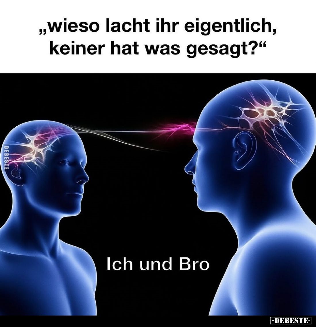 "Wieso lacht ihr eigentlich, keiner hat was gesagt?"