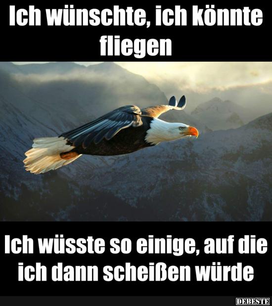 Ich wünschte, ich könnte fliegen.. Lustige Bilder, Sprüche, Witze