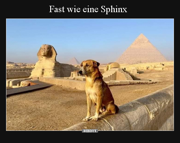 Fast wie eine Sphinx.. - Lustige Bilder | DEBESTE.de