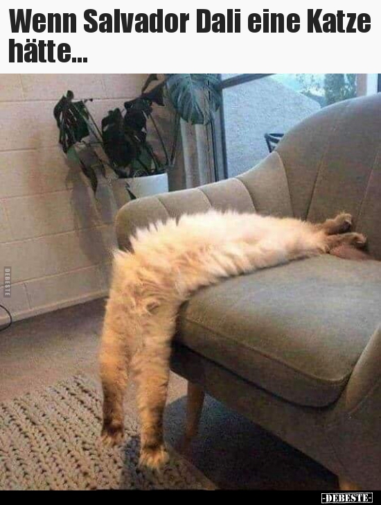 Wenn Salvador Dali eine Katze hätte...