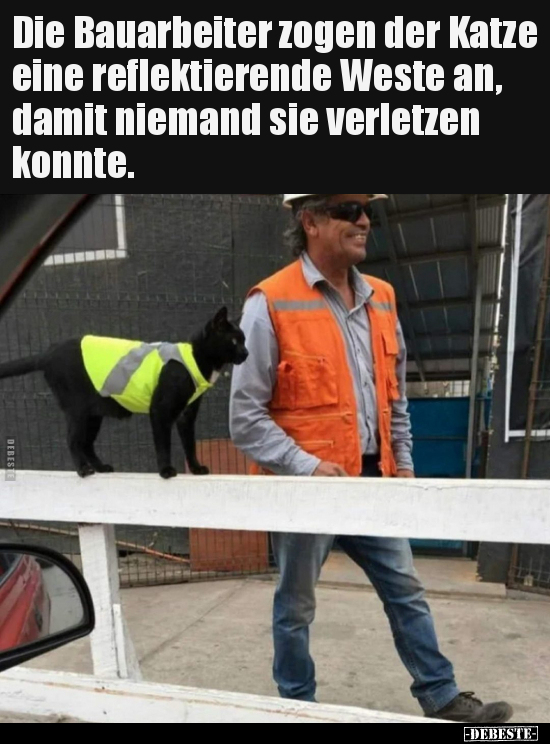 Die Bauarbeiter zogen der Katze eine reflektierende Weste.. - Lustige Bilder | DEBESTE.de