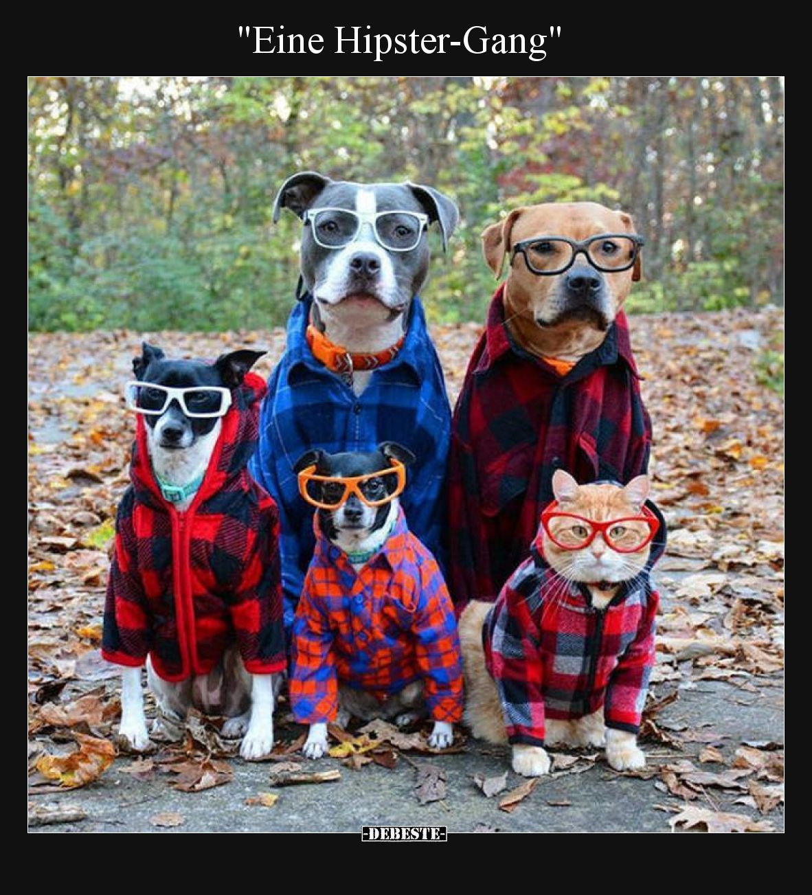 Eine Hipster-Gang