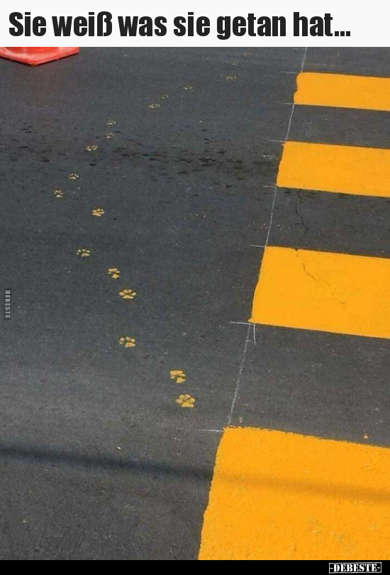 Sie weiß was sie getan hat...